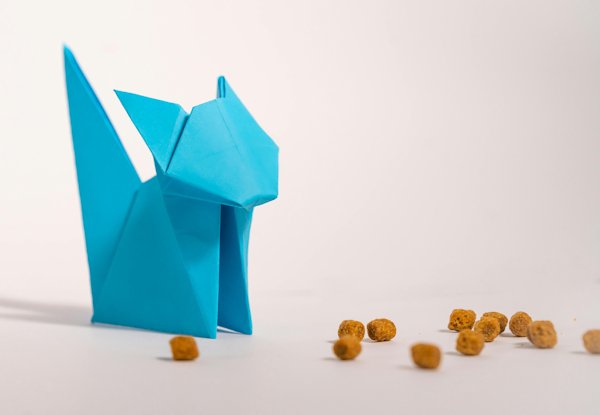 blauw poesje origami