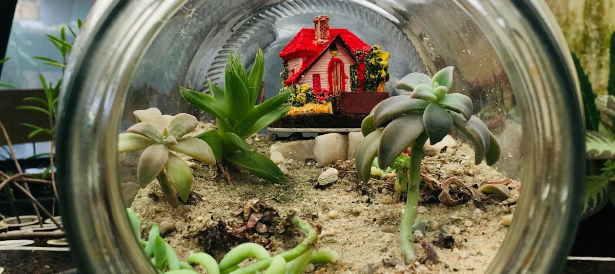mini planten terrarium